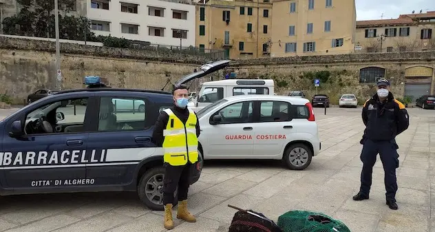 Alghero: ancora un prelievo di ricci in area protetta