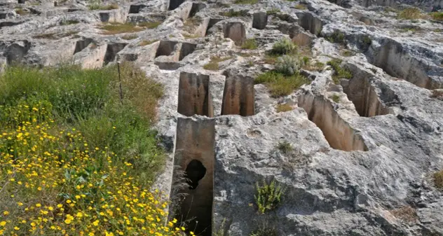 \"Istituire subito il Parco Archeologico di Tuvixeddu\"