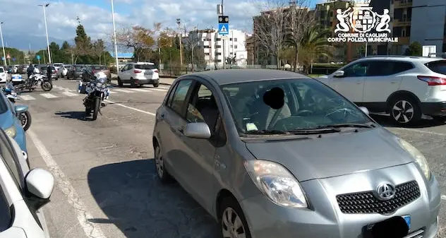 Cagliari. Auto investe una 61enne