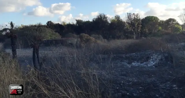 Ripresi focolai nella pineta Mugoni: zona presidiata