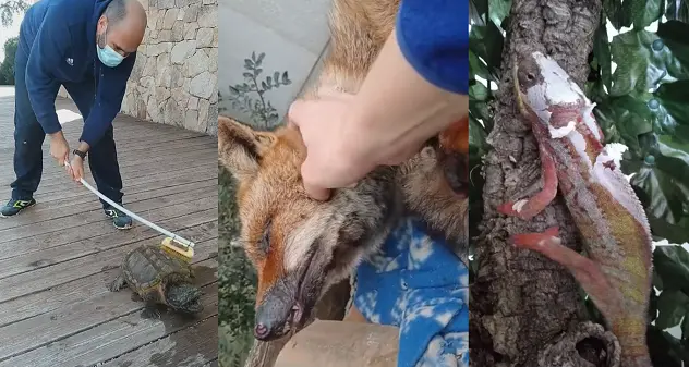 L'acquario di Cala Gonone oasi felice per gli animali