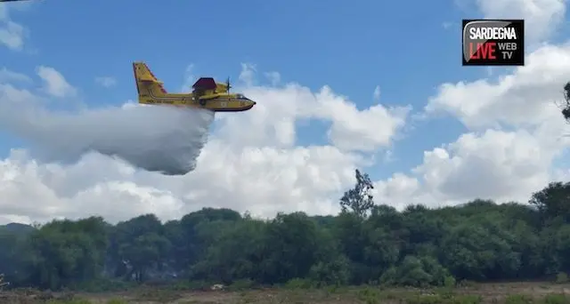 Incendio divora 10 ettari di pineta