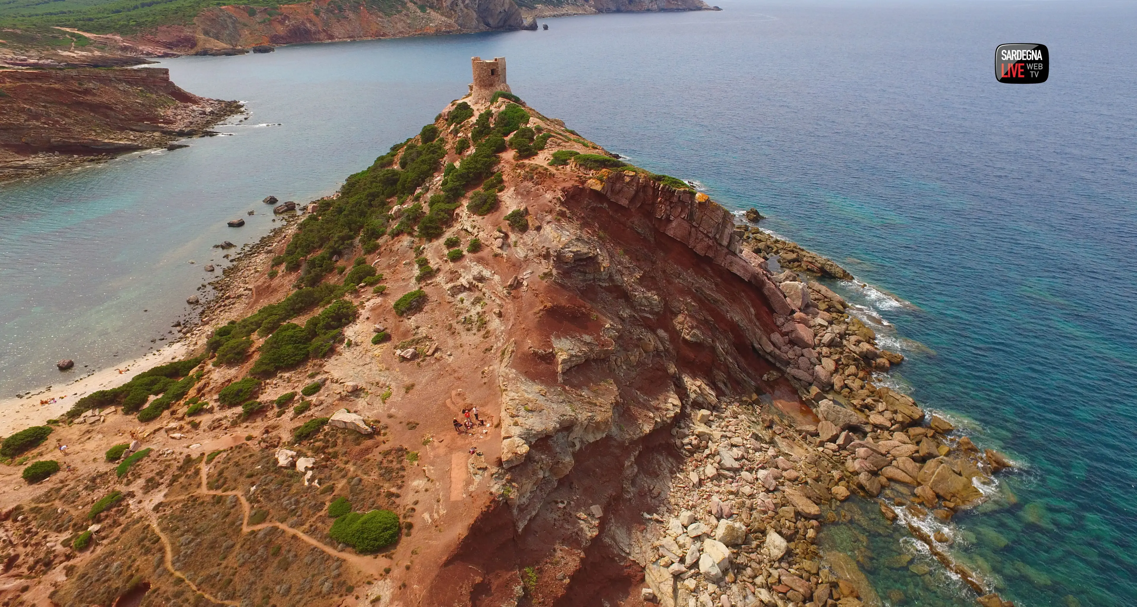 Nuovi scavi: scoperti altri resti fossili di dinosauro nei pressi della Torre del Porticciolo. FOTO