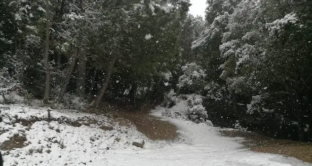 Primavera in ritardo: pioggia e neve in Sardegna