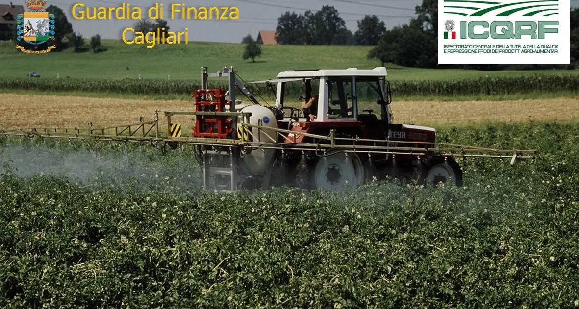 Pesticidi pericolosi per la salute pubblica: maxi sequestro della Guardia di Finanza