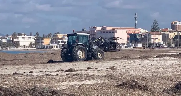 Alghero. Mezzi in azione per la pulizia delle spiagge