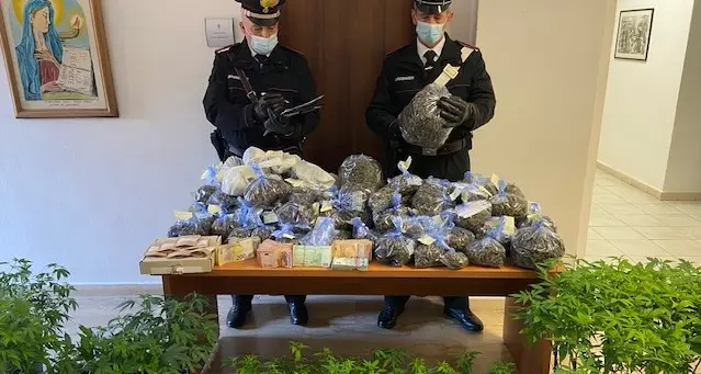 Olbia. Usavano lo shop di marijuana legale come copertura per spacciare: arrestata coppia