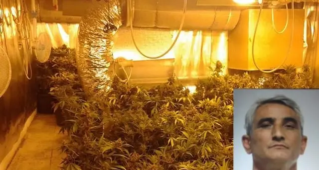 In casa serra artigianale e 1.690 kg di marijuana pronti allo spaccio: arrestato