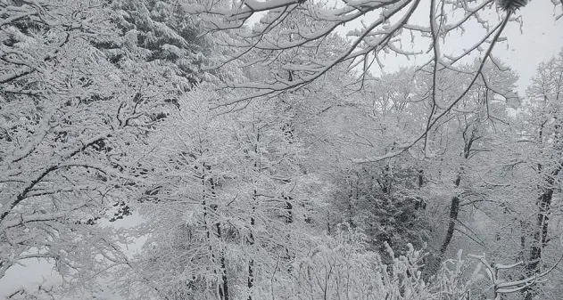 Maltempo. Neve e grandine nel Nuorese sopra i mille metri