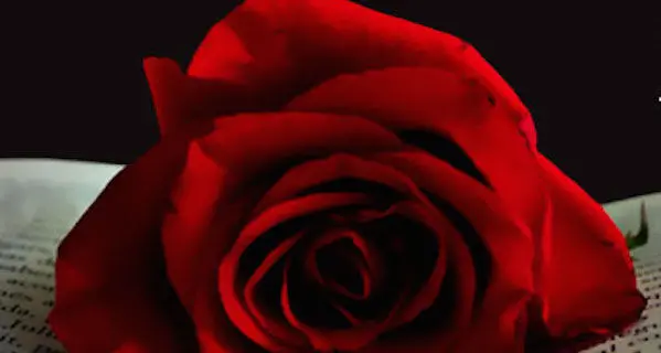 23 aprile, la Catalogna festeggia Sant Jordi, festa dei libri e delle rose