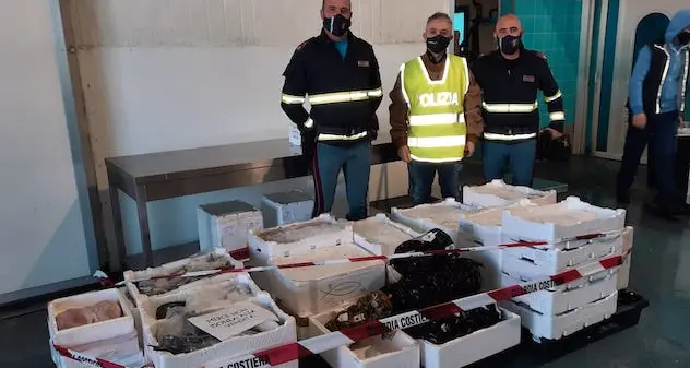 Fermato sulla 131 con oltre 300 chili di pescato