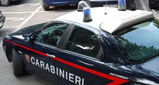 Ladra per amore