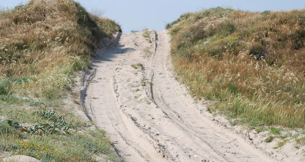 Con l'auto sulle dune di Torregrande: multate cinque persone