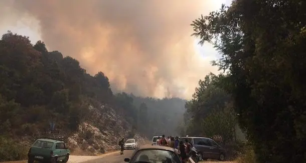 Incendi in Sardegna: roghi a Seui, Belvi e Osilo