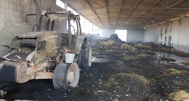 Incendi, emergenza in Sardegna: oltre 20 milioni di danni alle imprese agricole