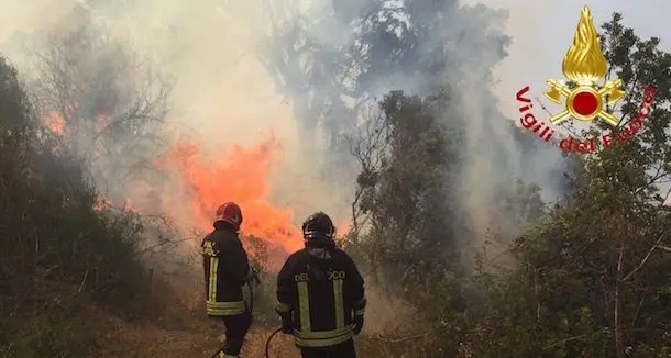 Il terribile bilancio: venticinque incendi in tre giorni