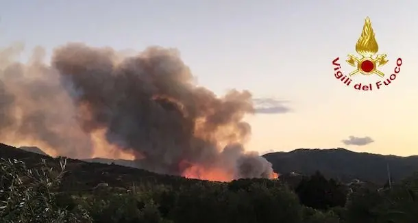 Incendio a Torpè: ingenti i danni al patrimonio boschivo