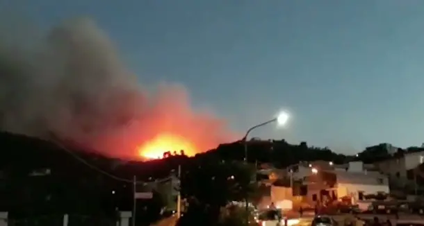 Incendio a Torpè: allevatore tenta di salvare il gregge dalle fiamme ma resta ustionato