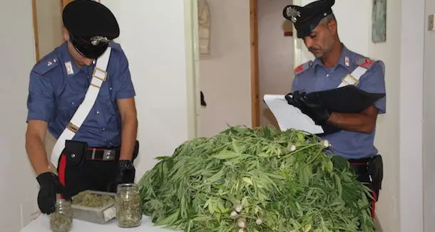 Coltiva marijuana in casa: arrestato 52enne