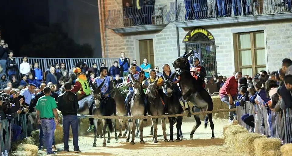 Palio di Ollolai. Alle 21.30 in diretta su Sardegna Live un'anteprima con tanti ospiti e curiosità