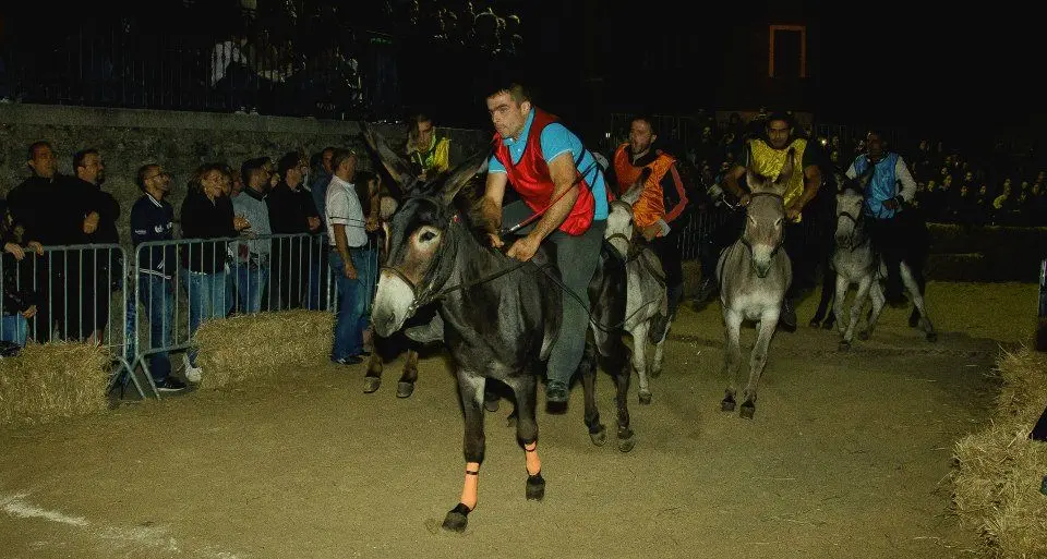 Palio di Ollolai, botta e risposta tra la Pro Loco e il campione in carica squalificato