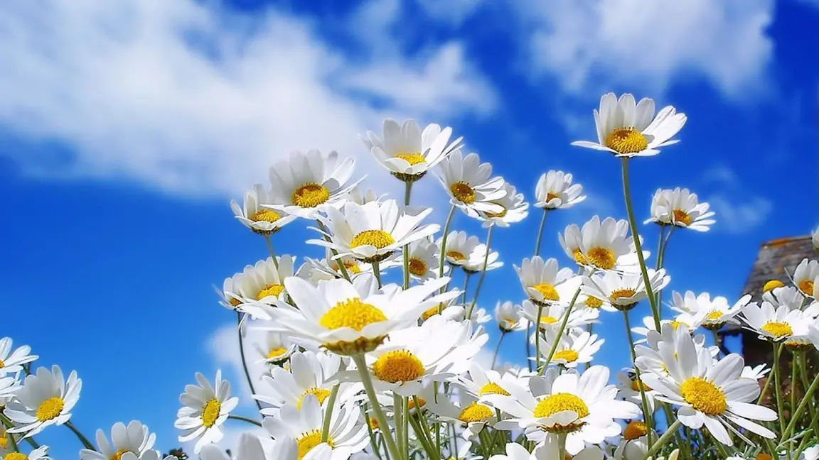 Pasqua e Pasquetta con clima primaverile: temperature fino a 26 gradi