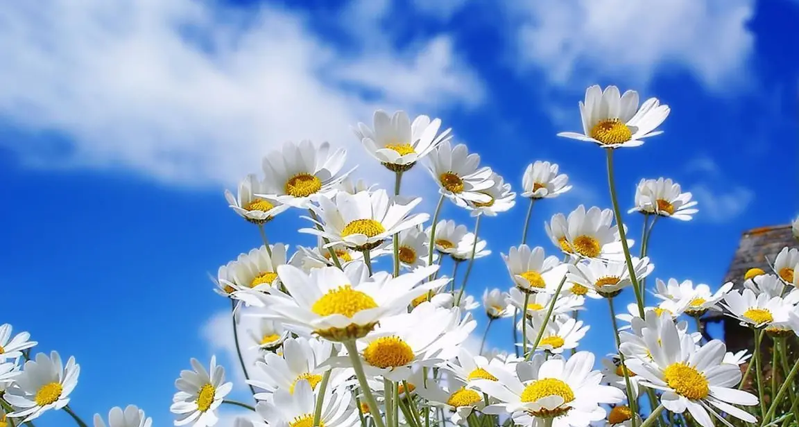 Pasqua e Pasquetta con clima primaverile: temperature fino a 26 gradi