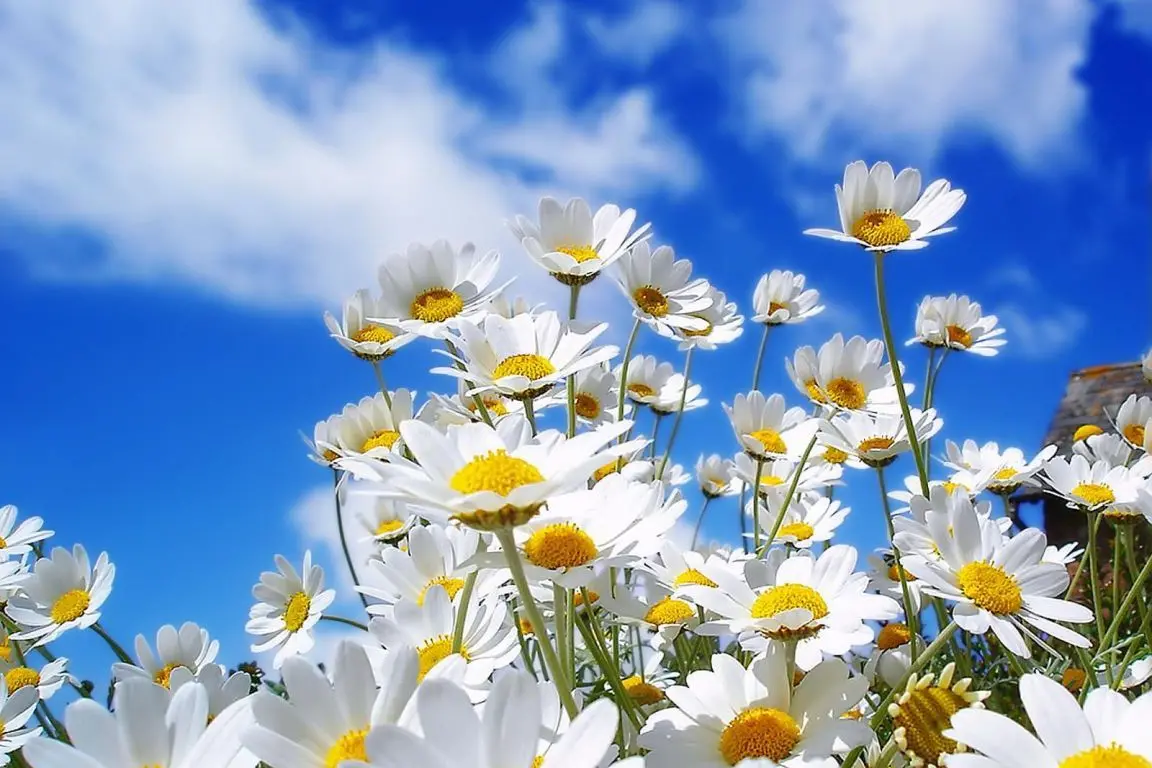 Pasqua e Pasquetta con clima primaverile: temperature fino a 26 gradi