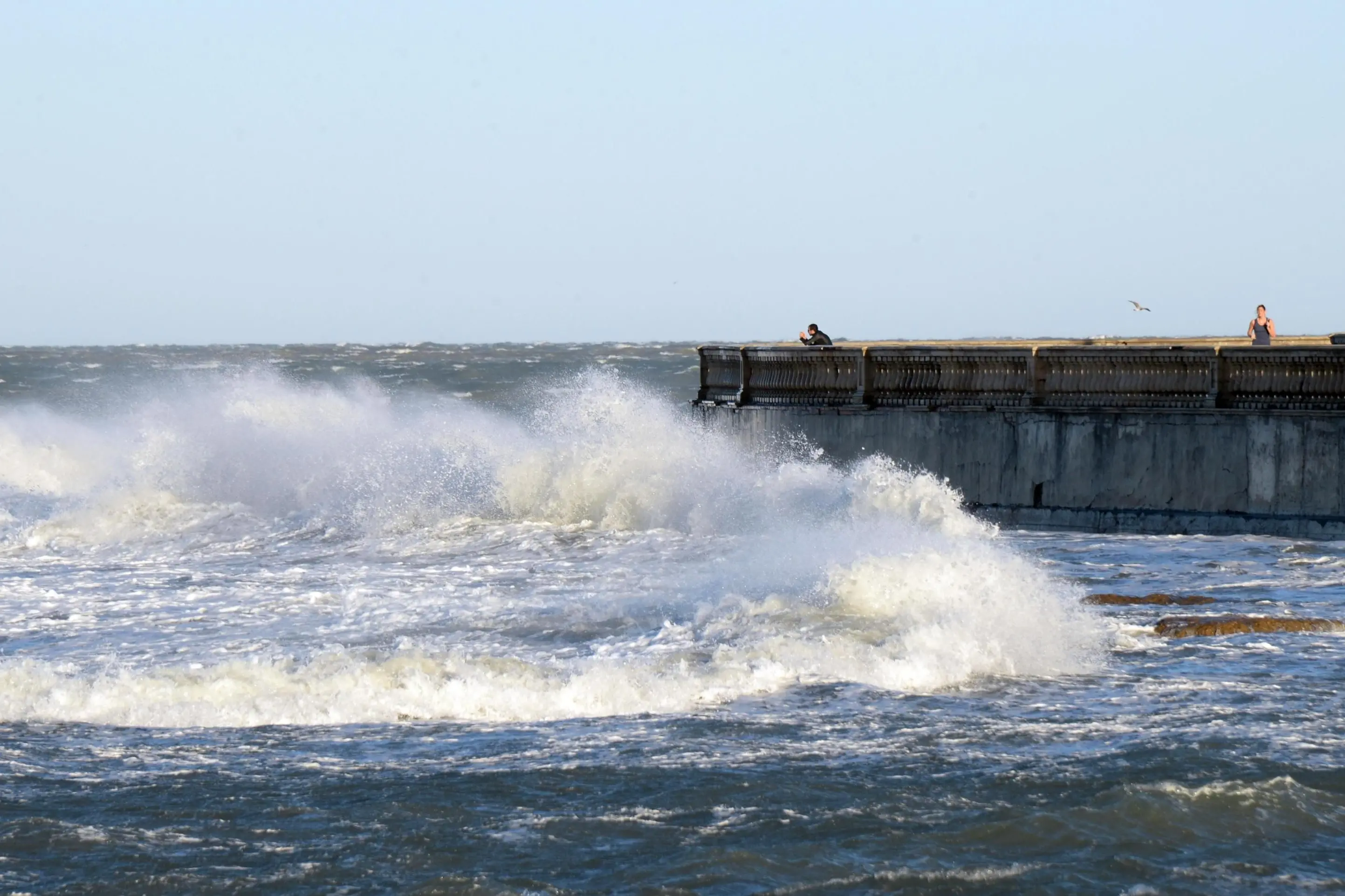 Il vento forte a Livorno, 22 ottobre 2014. Per il maltempo saltano le corse dei traghetti per Capraia da Livorno e per l\\'isola d\\'Elba da Piombino. E\\' stata sospesa la corsa del traghetto Toremar \\'Liburna\\' in partenza alle 7 di stamani per Capraia da Livorno a causa delle condizioni meteomarine proibitive. Sempre a causa delle condizioni meteomarine \\u00E8 stato sospeso anche da Piombino (Livorno) il collegamento con Rio Marina del traghetto Toremar \\'Bellini\\'. Il bollettino meteo, in peggioramento per le prossime 12 ore, per il quadrante tirrenico di Livorno parla di forti raffiche di libeccio e di mare forza 9. \\nANSA/FRANCO SILVI