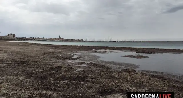 Pulizia spiagge: madre di tutte le polemiche