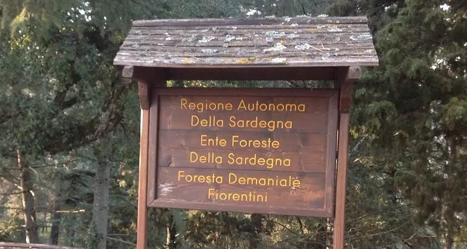 In giro per Fiorentini, la foresta della pantera di Bultei