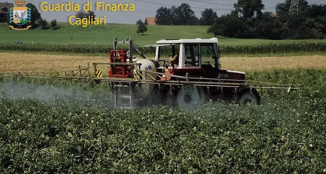 Operazione \"Mela stregata\": GF sequestra 16 tonnellate e mezzo di pesticidi utilizzati nel settore agroalimentare