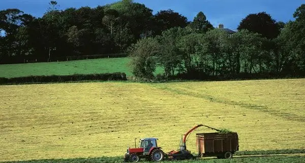 Imu agricola, cambiano i criteri per i pagamenti