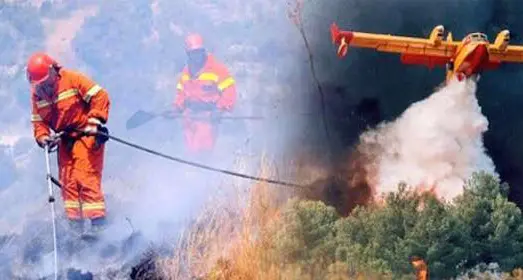 Ente Foreste, Pietro Pittalis (FI): \"Stabilizzazione dei lavoratori precari. Che fine hanno fatto impegni assunti prima di avvio Manovra?\"