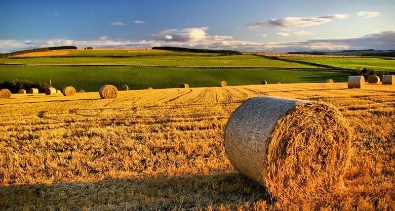 Imu su terreni agricoli, sindaci sardi in rivolta