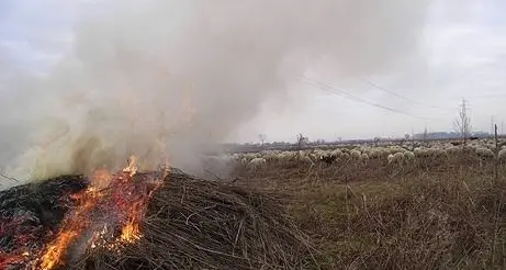 Gonnoscodina. Accende fuoco in campagna e ci cade dentro, morto 85enne