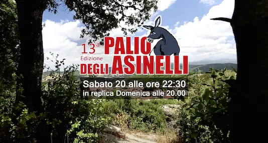 Il Palio degli Asinelli di Ollolai in TV. Sabato 20 settembre Videolina trasmette il grande evento dell'estate barbaricina