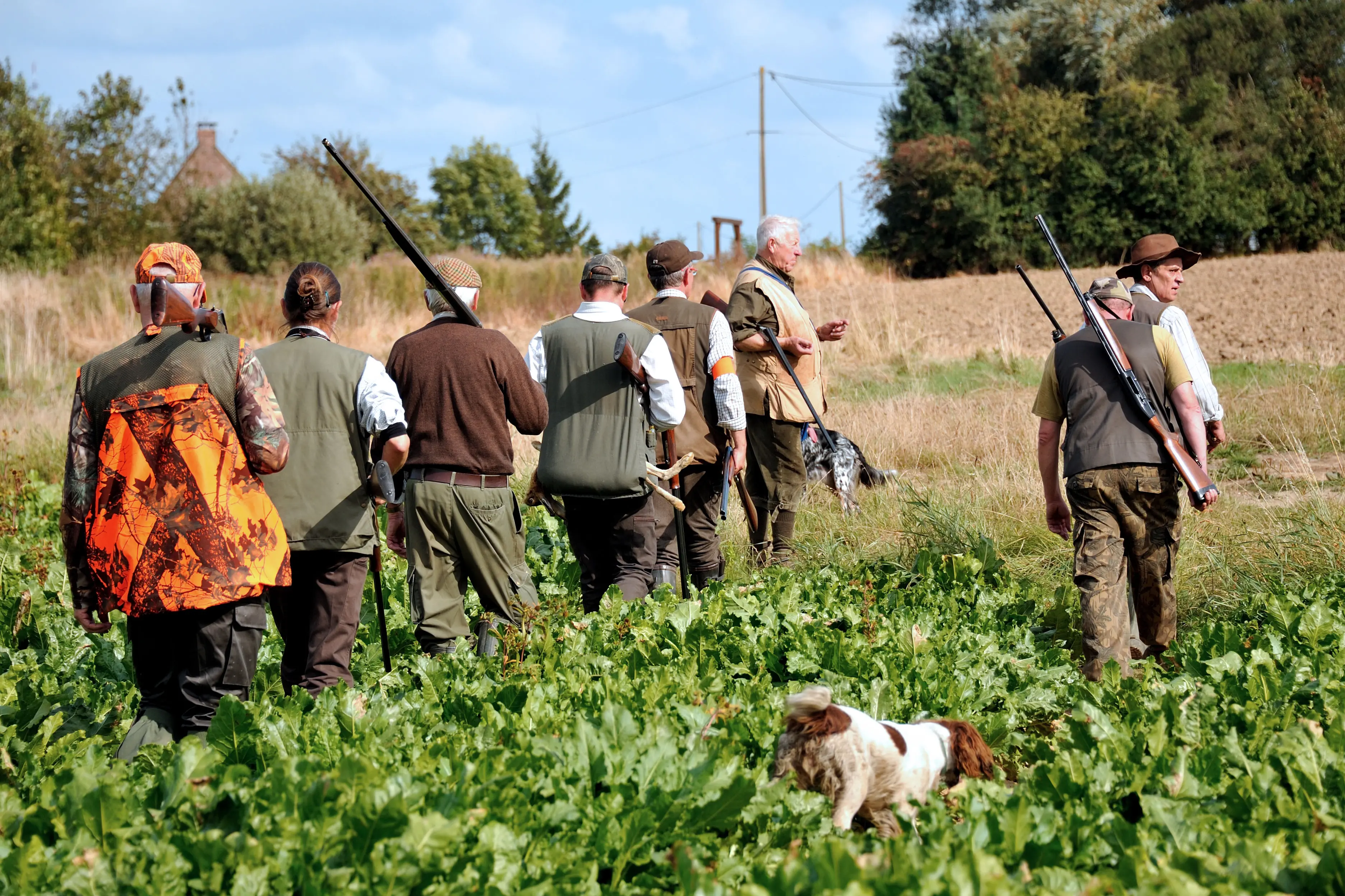 Hunters walk through fields, on September 16, 2012, in Godewaersvelde, at the first day of the hunting season in Northern France. With 1.3 million of hunters, France remains the first country in Europe for wildlife management ahead of Spain and Italy. AFP PHOTO / PHILIPPE HUGUEN        (Photo credit should read PHILIPPE HUGUEN/AFP/GettyImages)