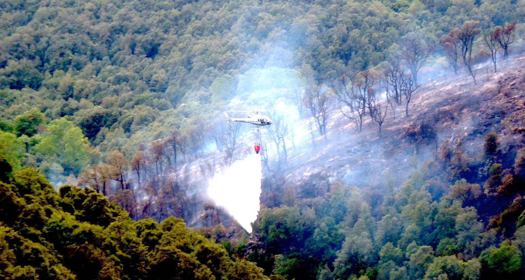 Tonara. Dieci ettari di bosco in fumo nel cuore del Gennargentu