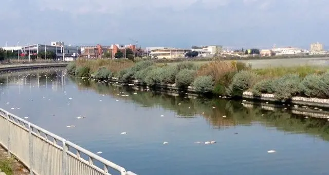 Cagliari. Il cadavere di un uomo nel canale Terramaini