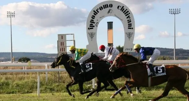 In diretta da Chilivani trasmettiamo oggi a partire dalle ore 16 il Campionato del Mediterraneo dei purosangue arabo