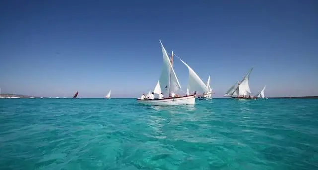 Stintino. Tutto pronto per la 32^ edizione della Regata della Vela Latina – Trofeo Presidente della Repubblica