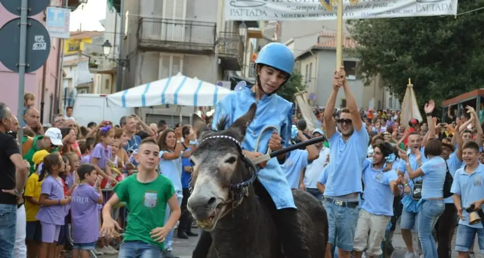 Tutto pronto a Pattada per la VI edizione del Palio degli Asinelli e de Sos Ighinados