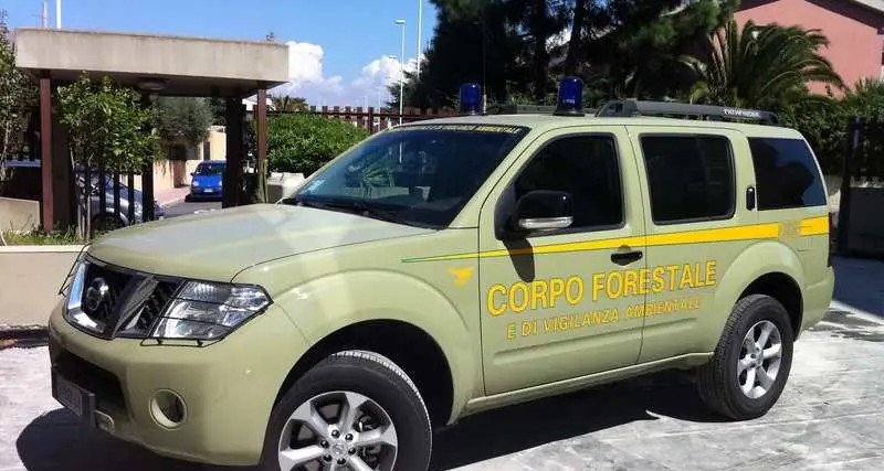Gonnesa. Forestali denunciano un bracconiere di 55 anni