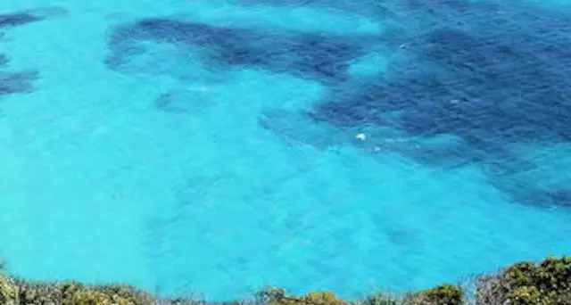 Asinara. Sosta con la barca nell'area protetta di Cala S.Andrea: denunciato un turista francese e un imprenditore senese