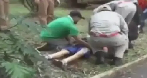 Brasile. Allo zoo vuole accarezzare una tigre, l'animale gli strappa il braccio: vittima un bambino di 11