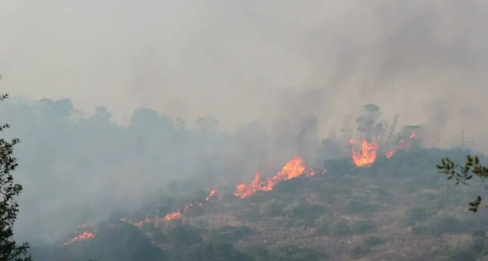 Maracalagonis. Incendio minaccia le abitazioni