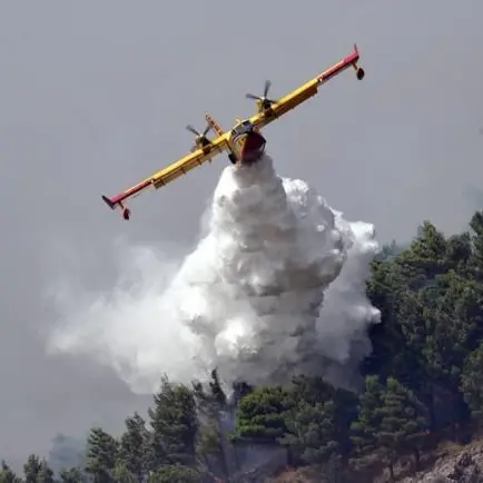 Lotta agli incendi boschivi: Sassari in prima linea con le campagne di sensibilizzazione