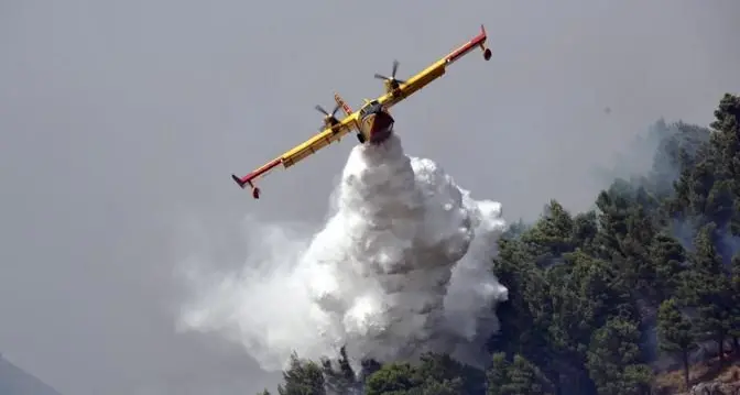 Lotta agli incendi boschivi: Sassari in prima linea con le campagne di sensibilizzazione