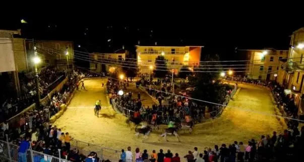 Stasera al via la 13^ edizione del Palio degli Asinelli di Ollolai. Segui la diretta sul nostro sito